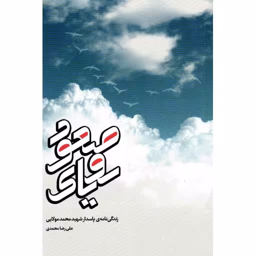 رویای صعود (زندگینامه شهید محمد مولایی)