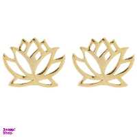 گوشواره طلا 18 عیار رزا مدل EG129