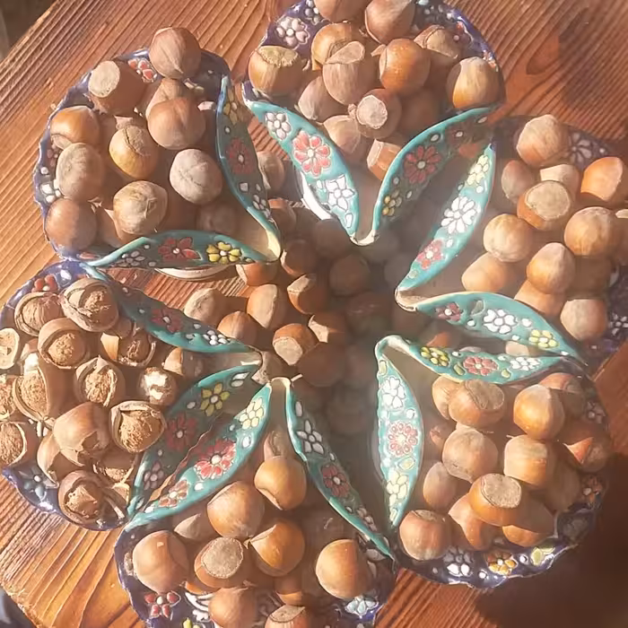 فندق خام مثل پسته خندان خام   بدون نمک و برشته نشده 