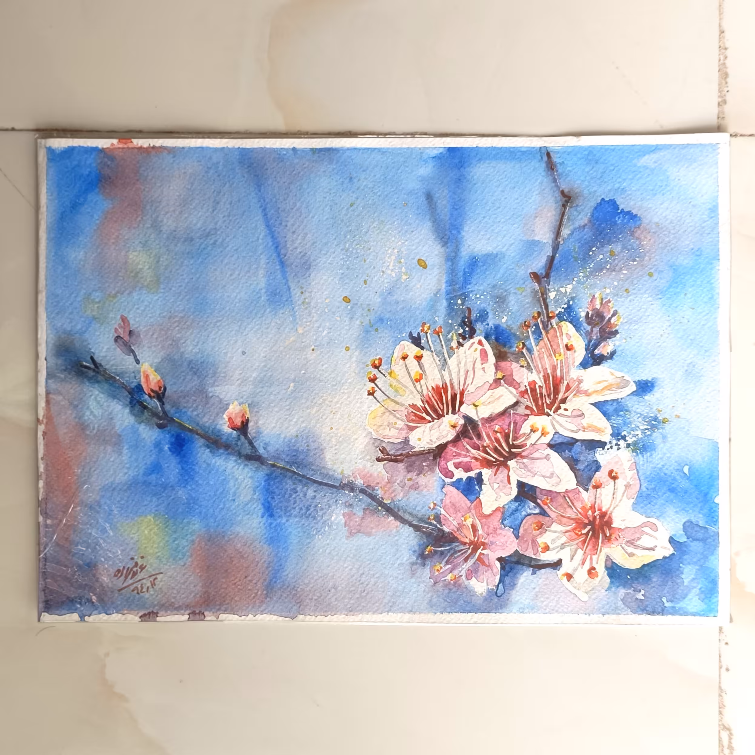 نقاشی آبرنگ شکوفه های بهاری