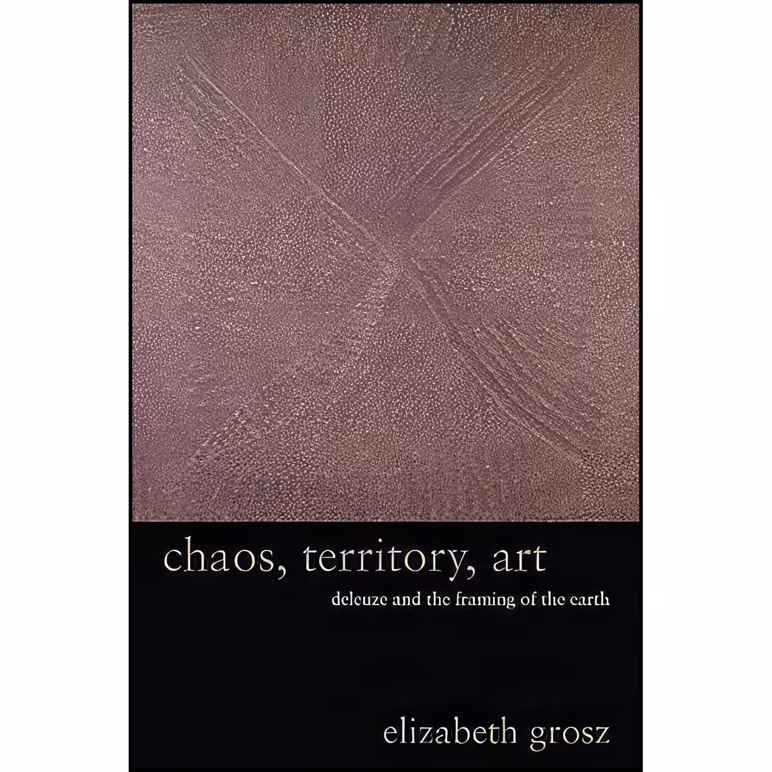 کتاب زبان اصلی Chaos Territory Art اثر E A Grosz and Elizabeth Grosz