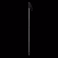باتوم اسکی آلپاین ELAN SPEEDROD W PURPLE 2025