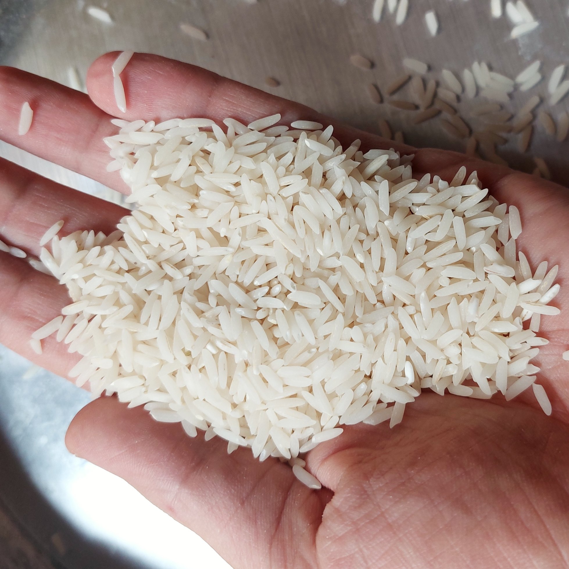 برنج طارم هاشمی بشرط پخت