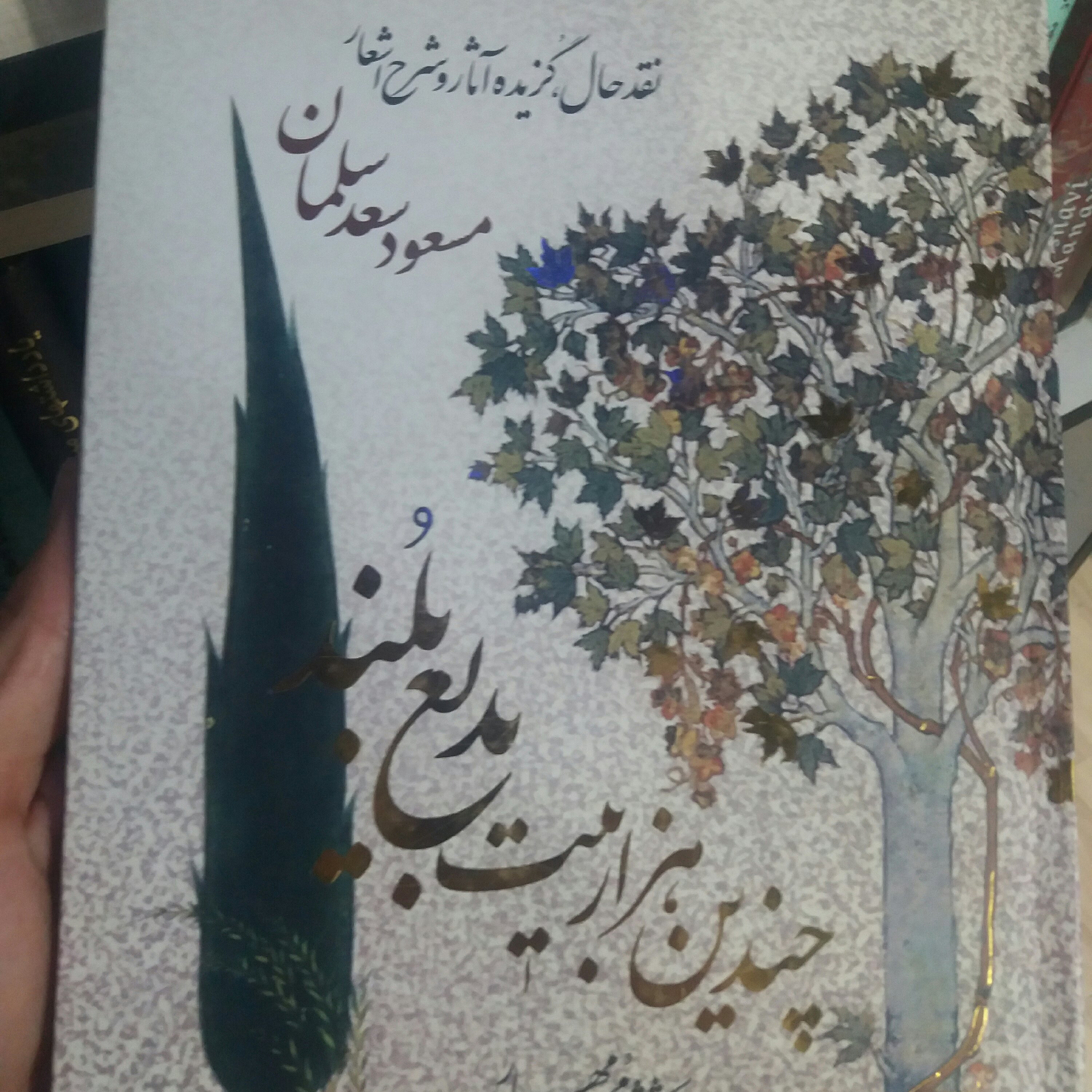 کتاب چندین هزار بیت بدیع بلند مسعو د سعد سلمان