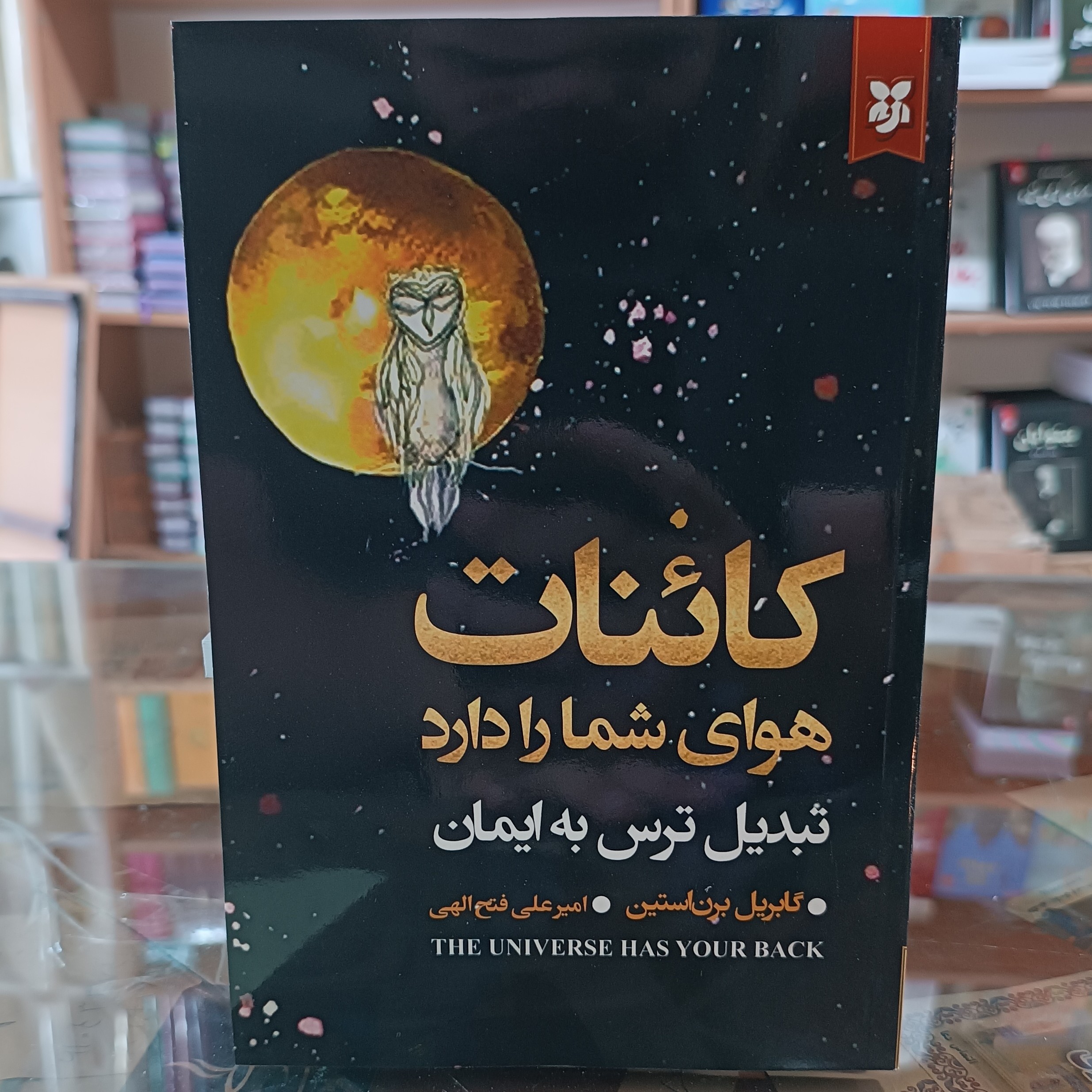 کتاب کائنات هوای شما را دارند ، اثر گابریل برن استین، مترجم امیرعلی فتح الهی،جلد شومیز