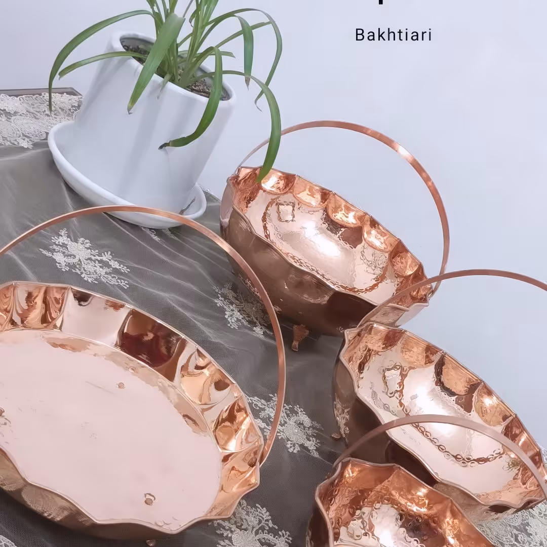 سرویس  پذیرایی سبدی نانو شده