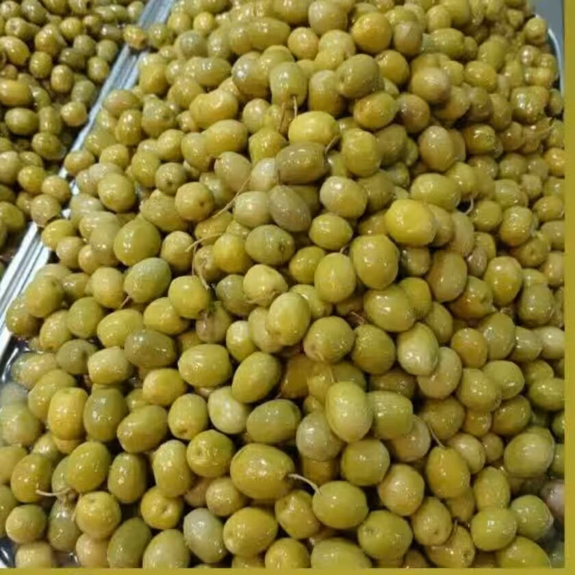 زیتون شور درجه یک رودبار