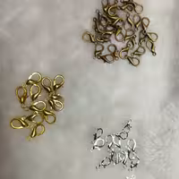 قفل طوطی یک جفت