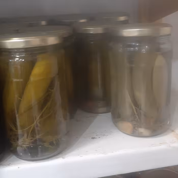 خیارشور شیشه 