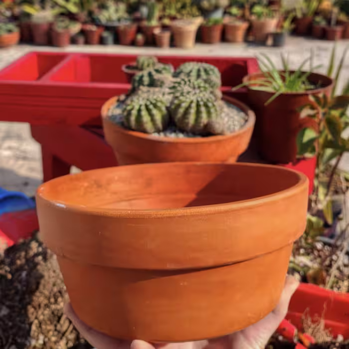 گلدون سفالی آلمانی طرح بنسای