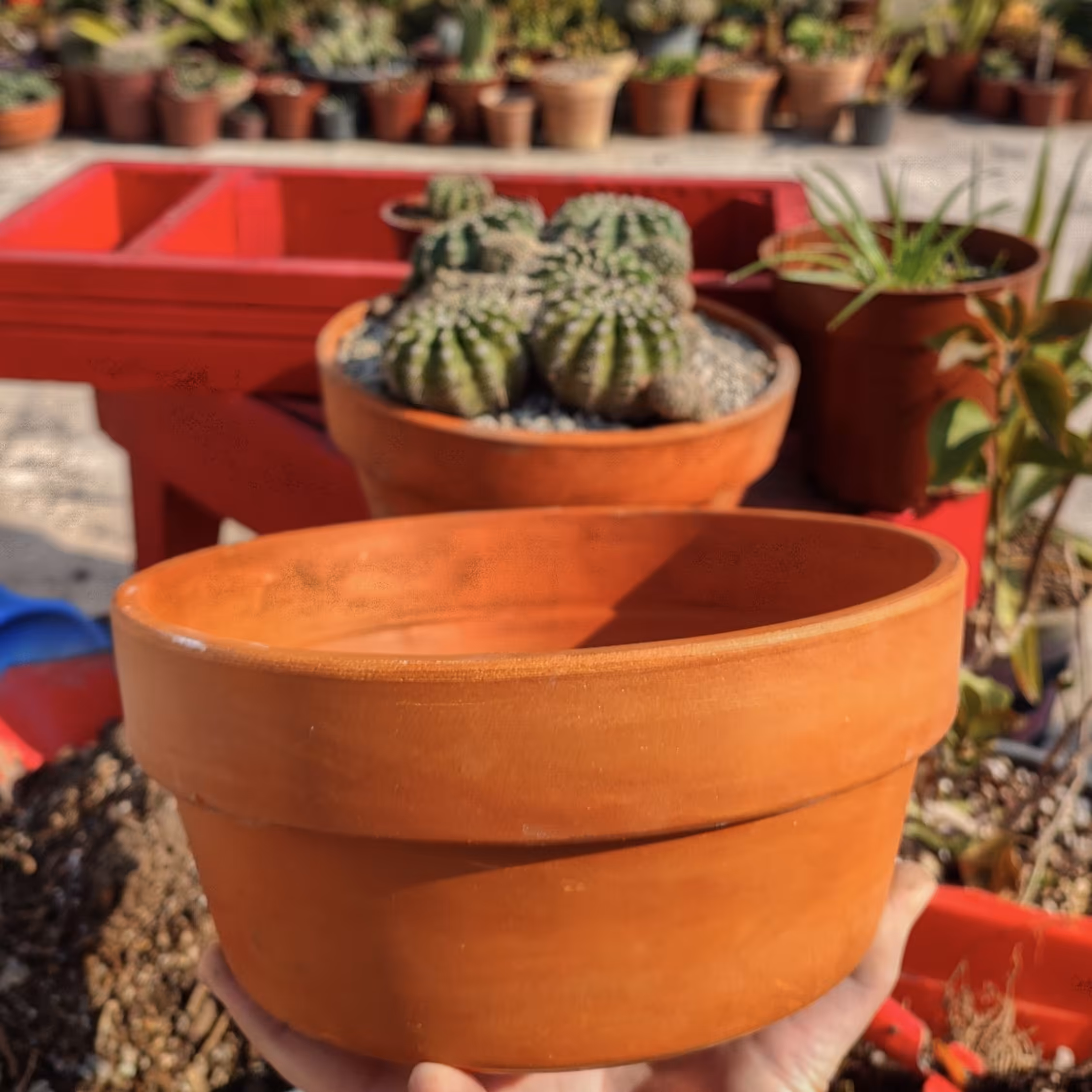 گلدون سفالی آلمانی طرح بنسای