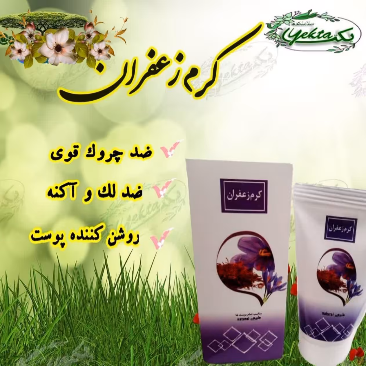 کرم زعفران