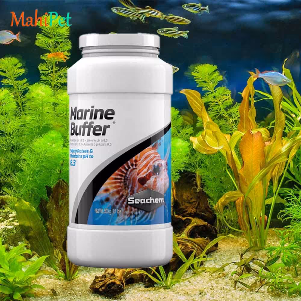 پودر تنظیم کننده ph آب شور سیچم SEACHEM Marine Buffer سایز 500 میلی لیتر