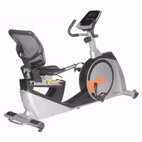 دوچرخه ثابت آیرون مسترز Iron Masters L165