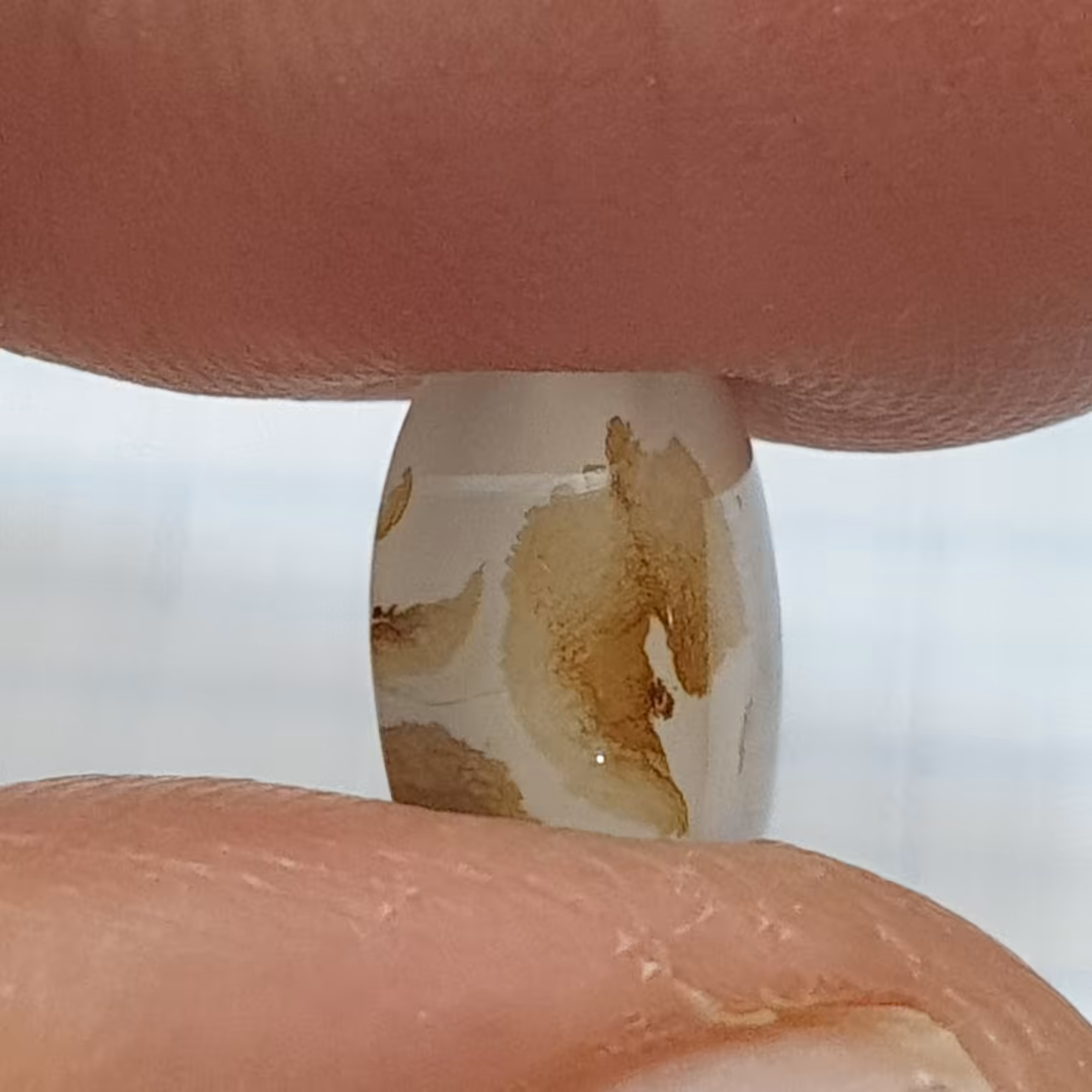 نگین شجر منظره دار قائنات زیبا خوش تراش