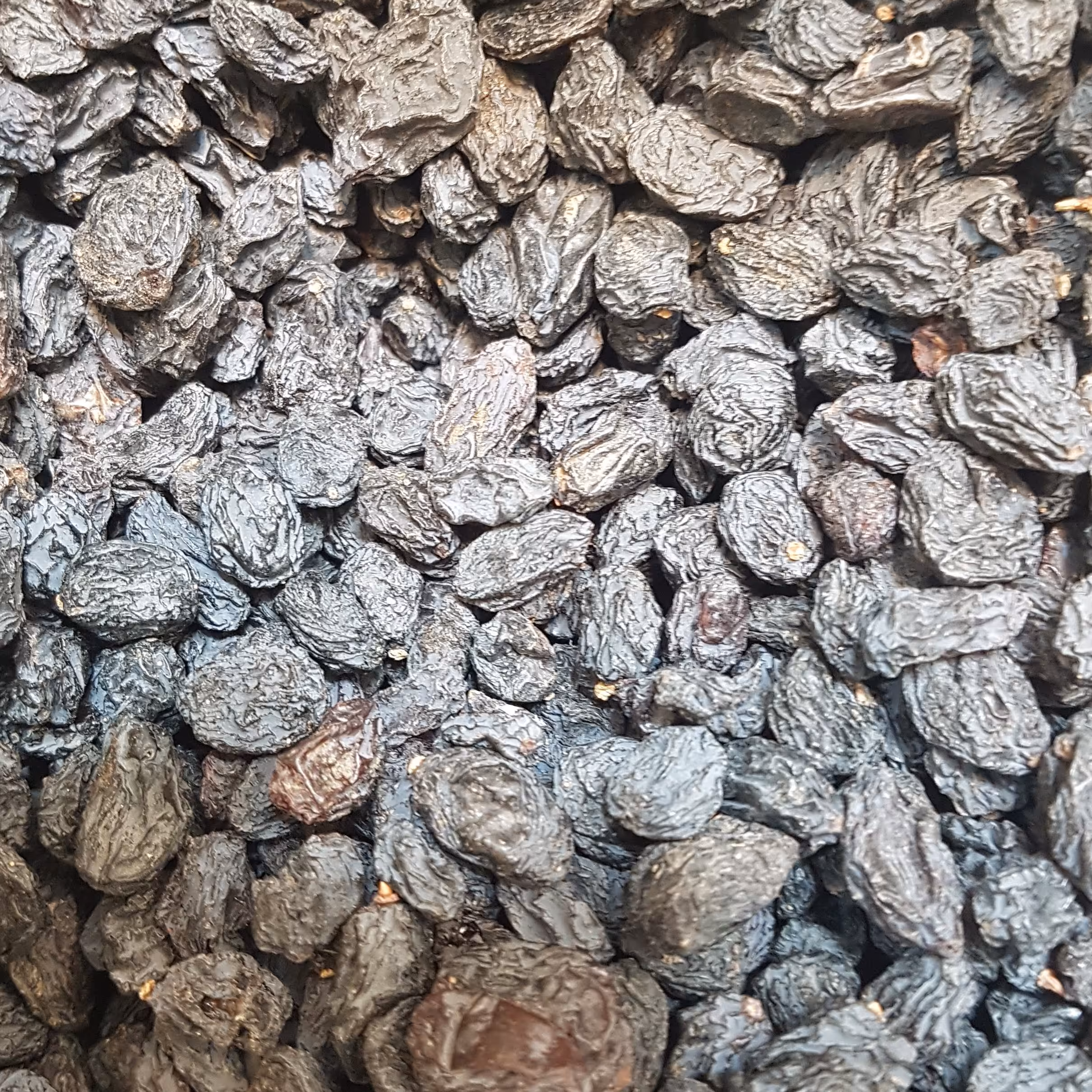 مویز بی هسته افغان. شیرین و بدون خشکی بار امسالی. 