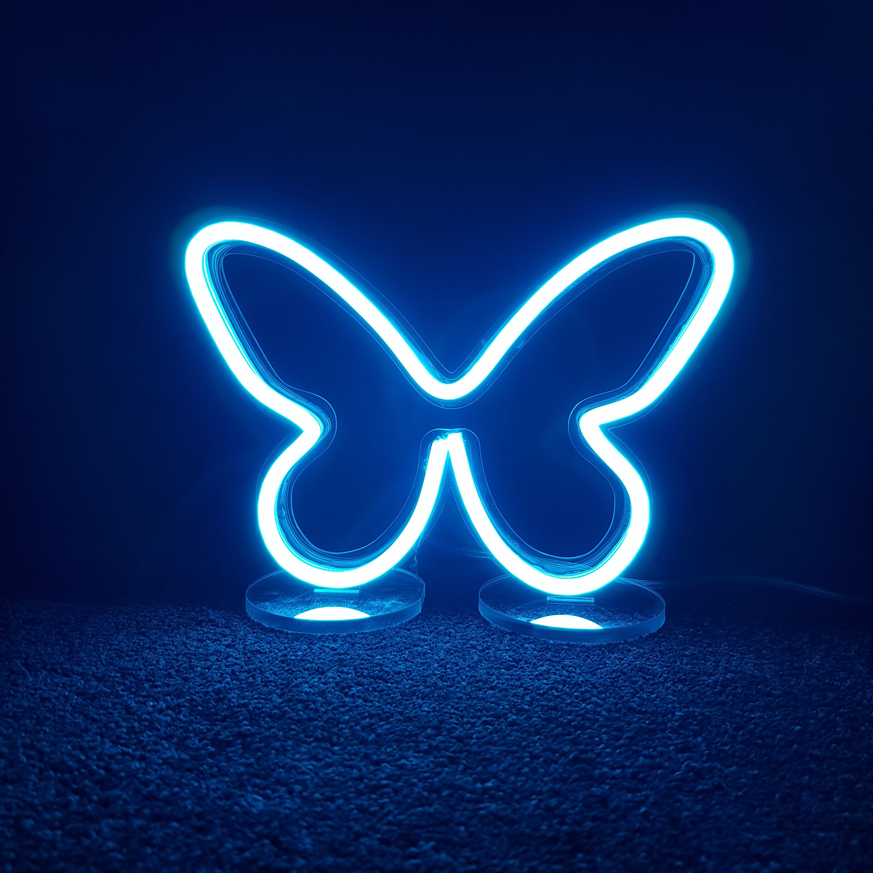 چراغ نئونی پایه دار طرح پوانه آبی