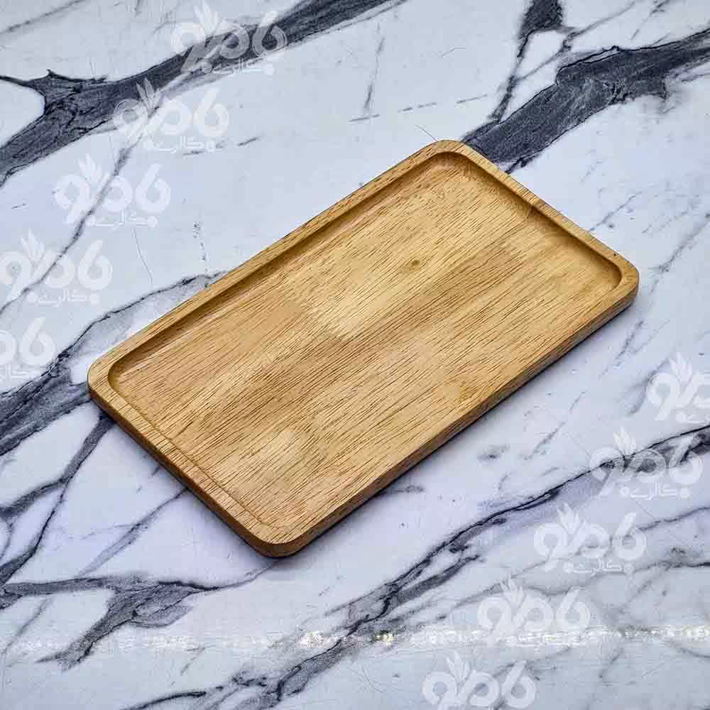 دیس رابروود مستطیل 14*24سانت کدR101