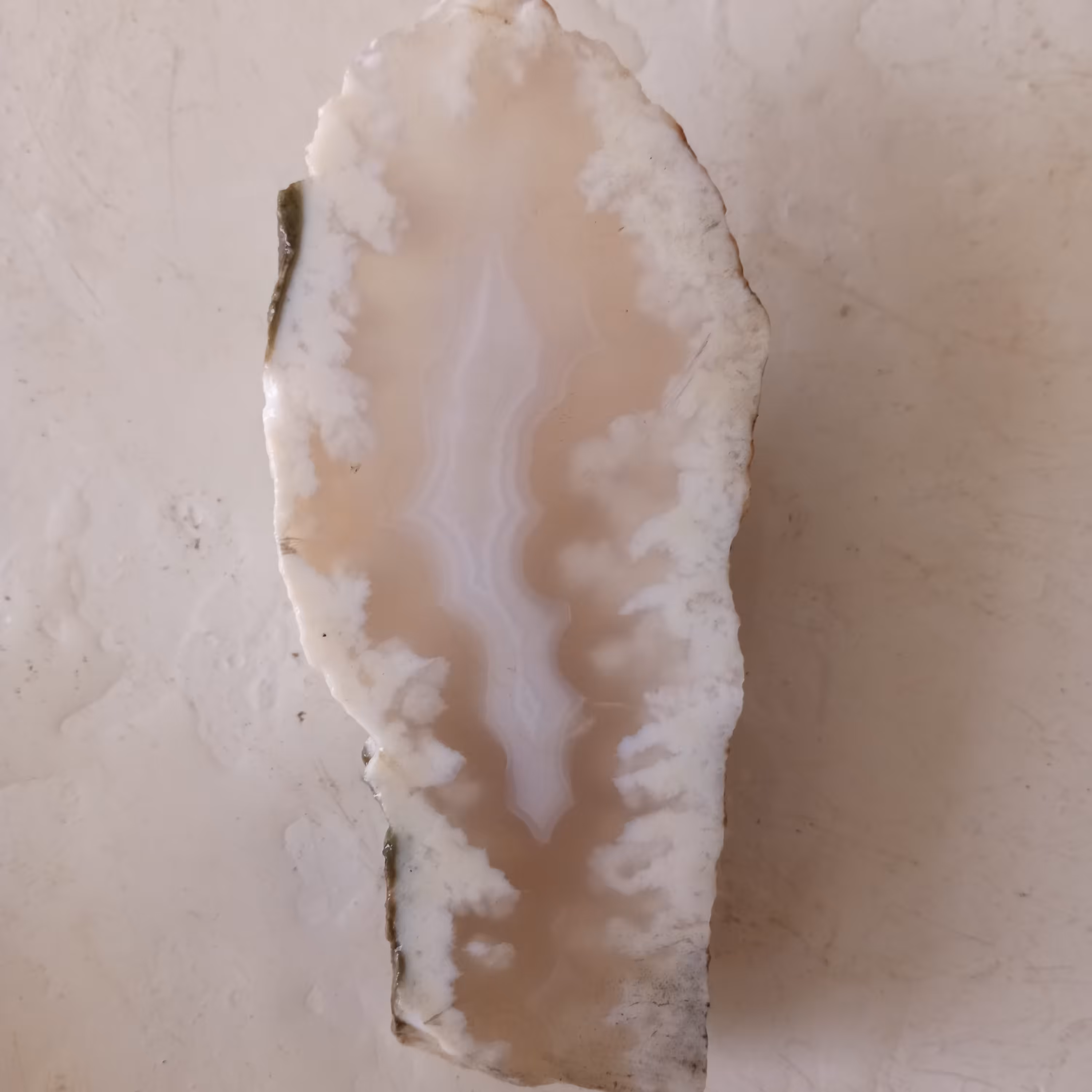 سنگ اسلب شجر عروس