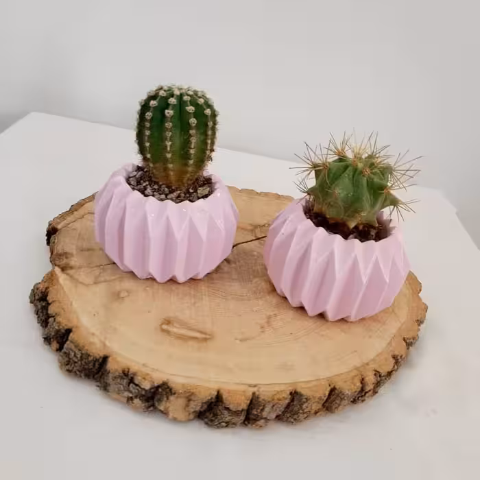 گلدان خورشیدی(کارتن 40تایی)عمده 9500ت گلدان سنگی مناسب کاکتوس و گل طبیعی