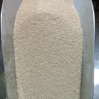 خمیر مایه فوری درجه یک 100گرمی