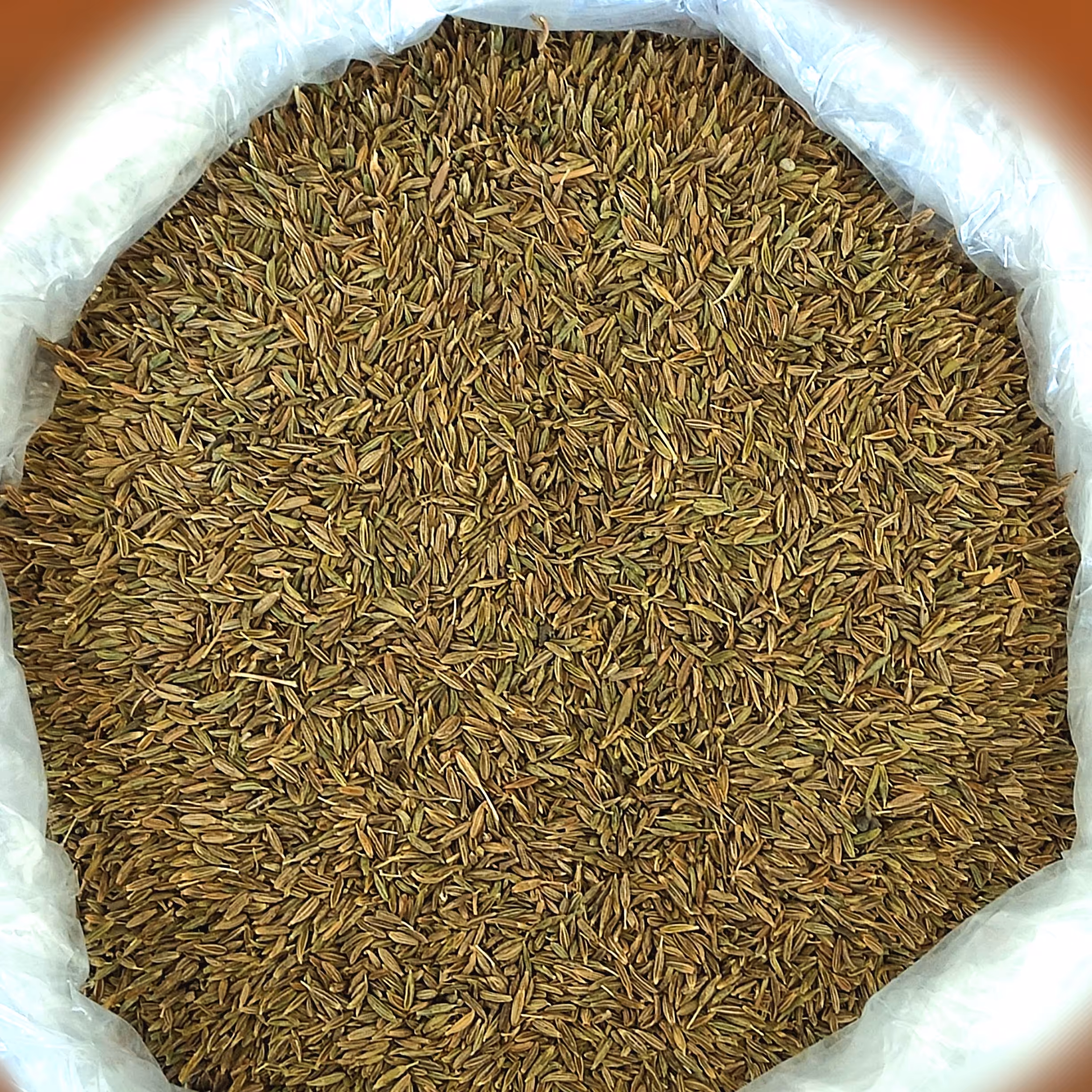 زیره سبز (250گرمی)