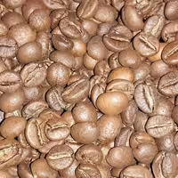 قهوه ربوستا تانزانیا