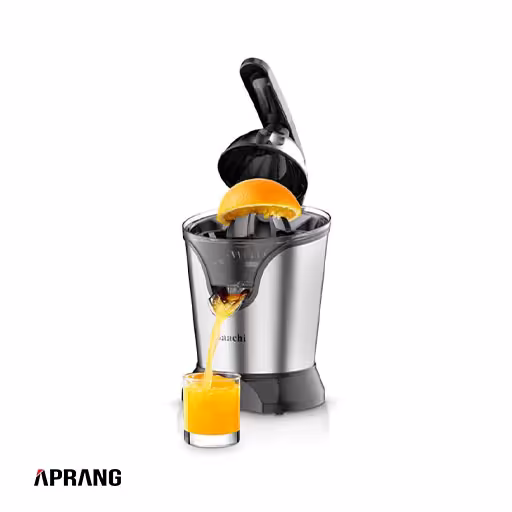 آب مرکبات گیر ساچی مدل NL-CJ-4069-ST - استیل