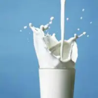 شیر گاومیش پر چرب 15 کیلویی