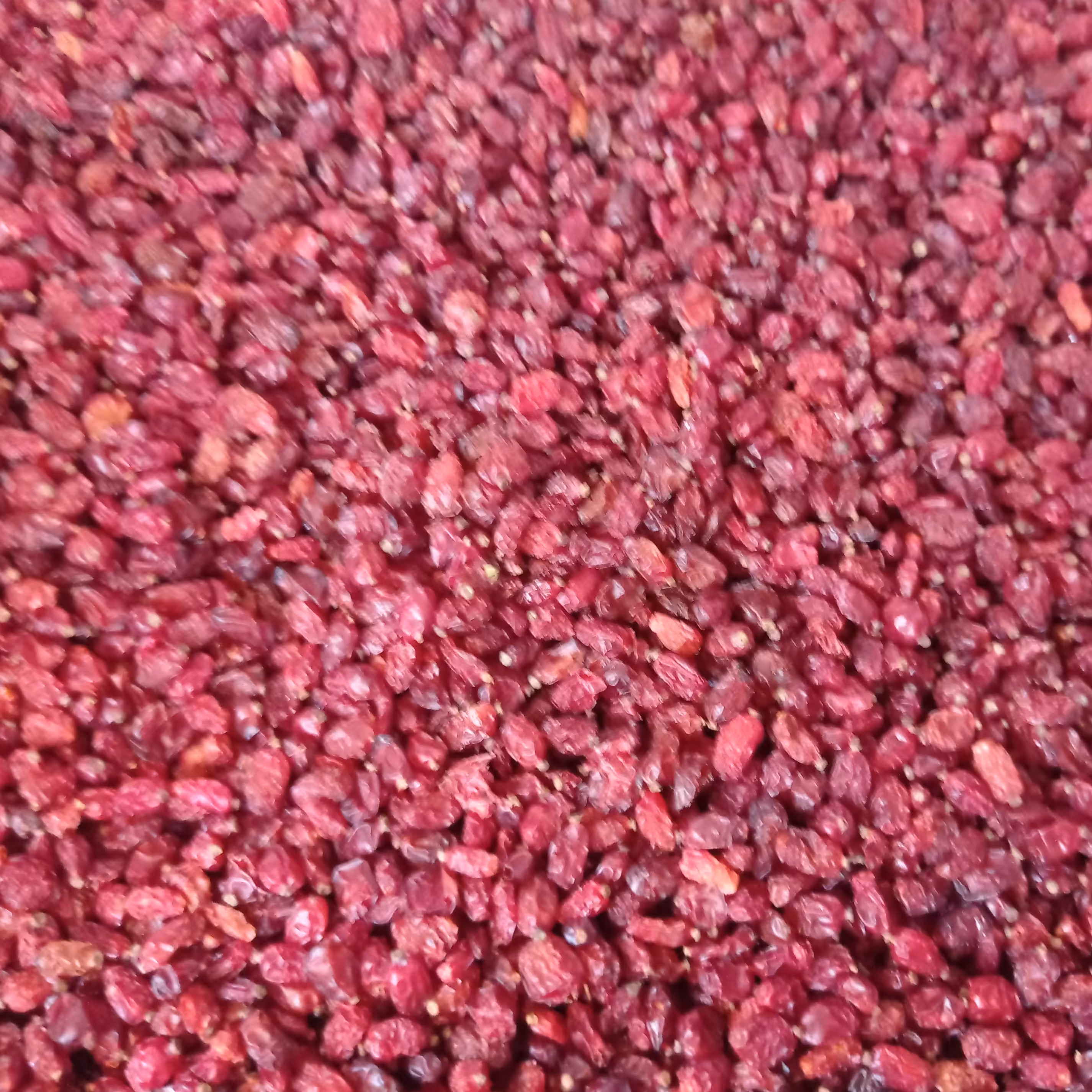 زرشک پفکی با کیفیت بسیار عالی و فاقد هرگونه ناخالصی