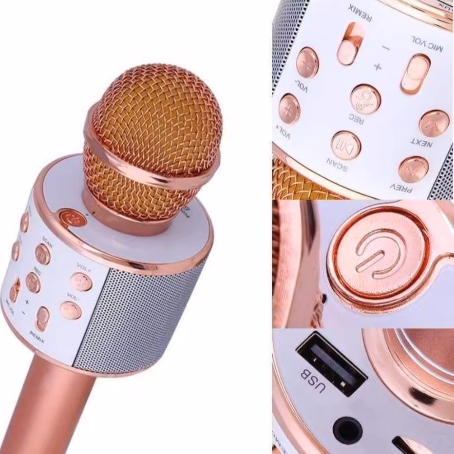 اسپیکر میکروفونی