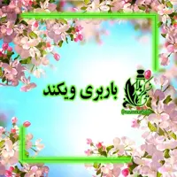 عطرباربری (ویکند) درجه یک با ماندگاری خیلی خوب(یک گرم)