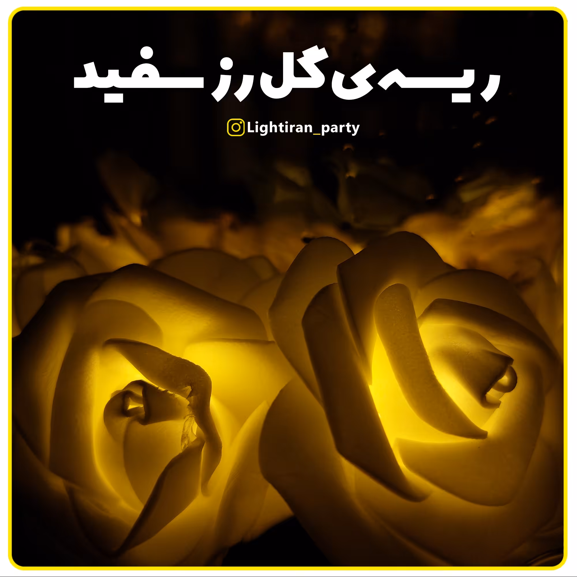 ریسه ال ای دی گل رز  سفید رنگ آفتابی 220 ولت