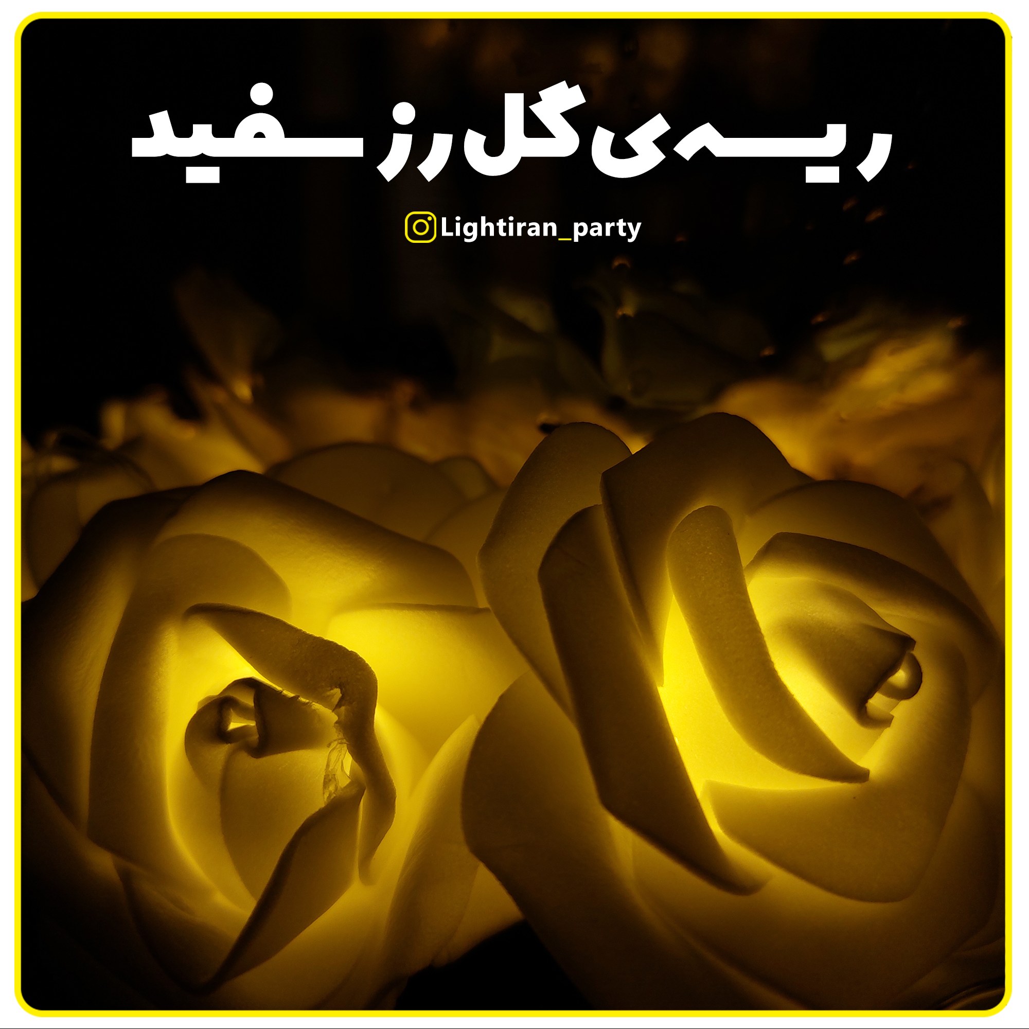 ریسه ال ای دی گل رز سفید رنگ آفتابی 220 ولت