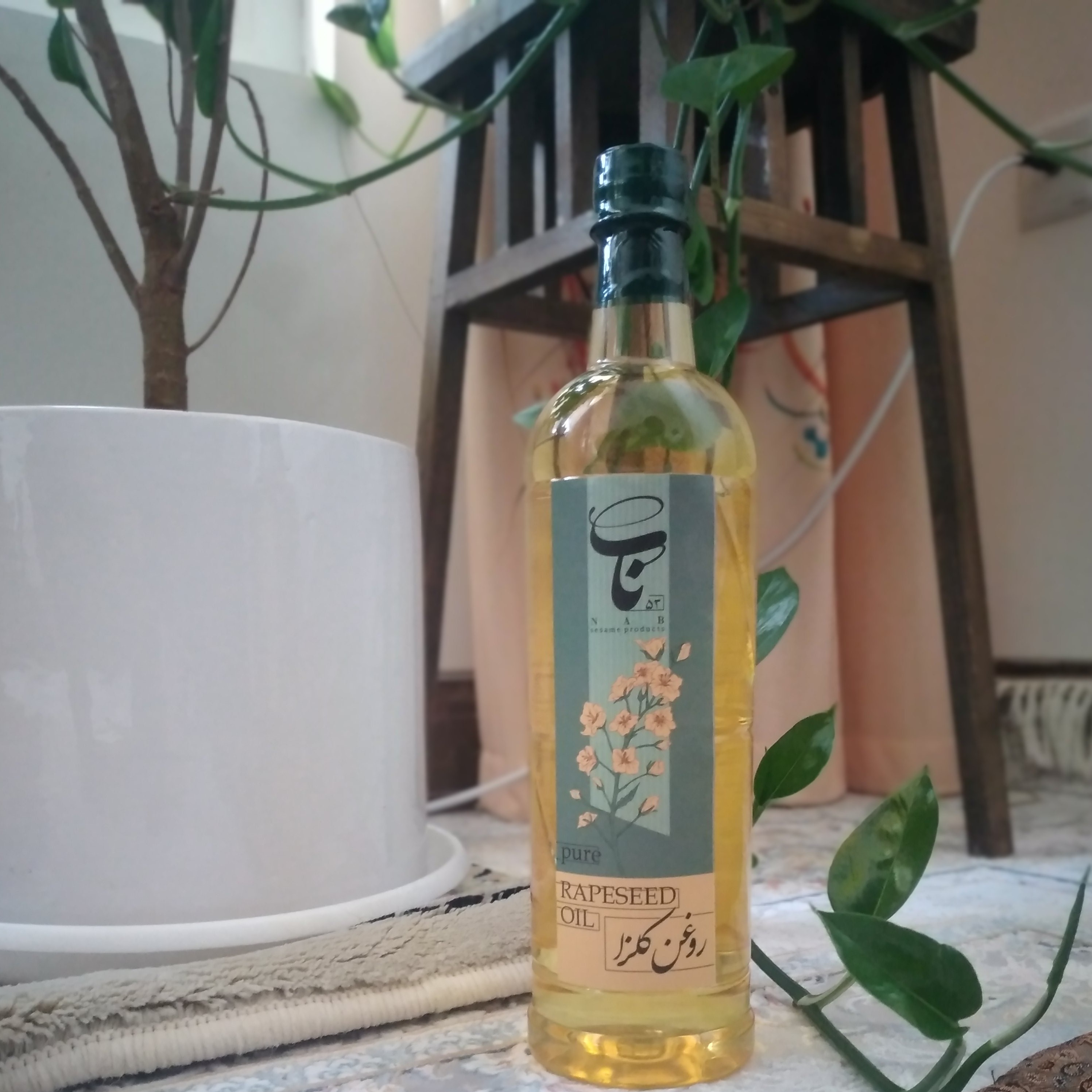 روغن کلزا 