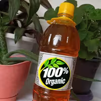 شربت سکنجبین با شیره نبات غلیظ و فوق العاده خوشمزه