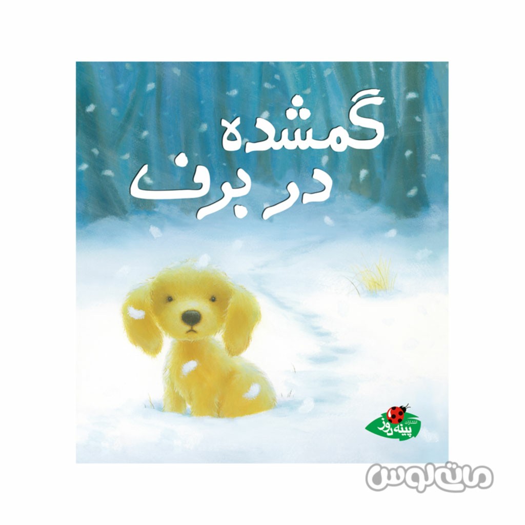 کتاب گمشده در برف پینه دوز