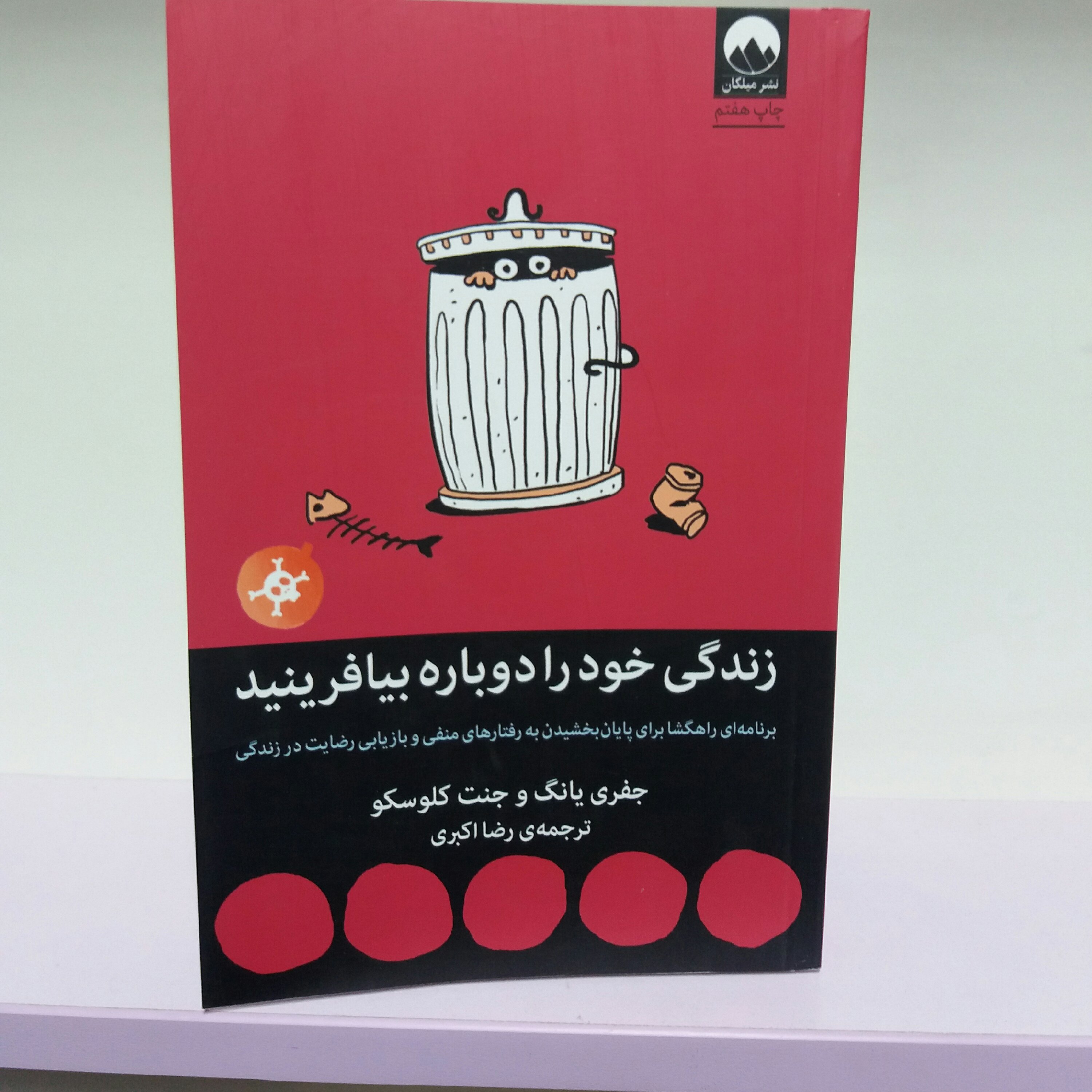 کتاب زندگی خود را دوباره بیافرینید
