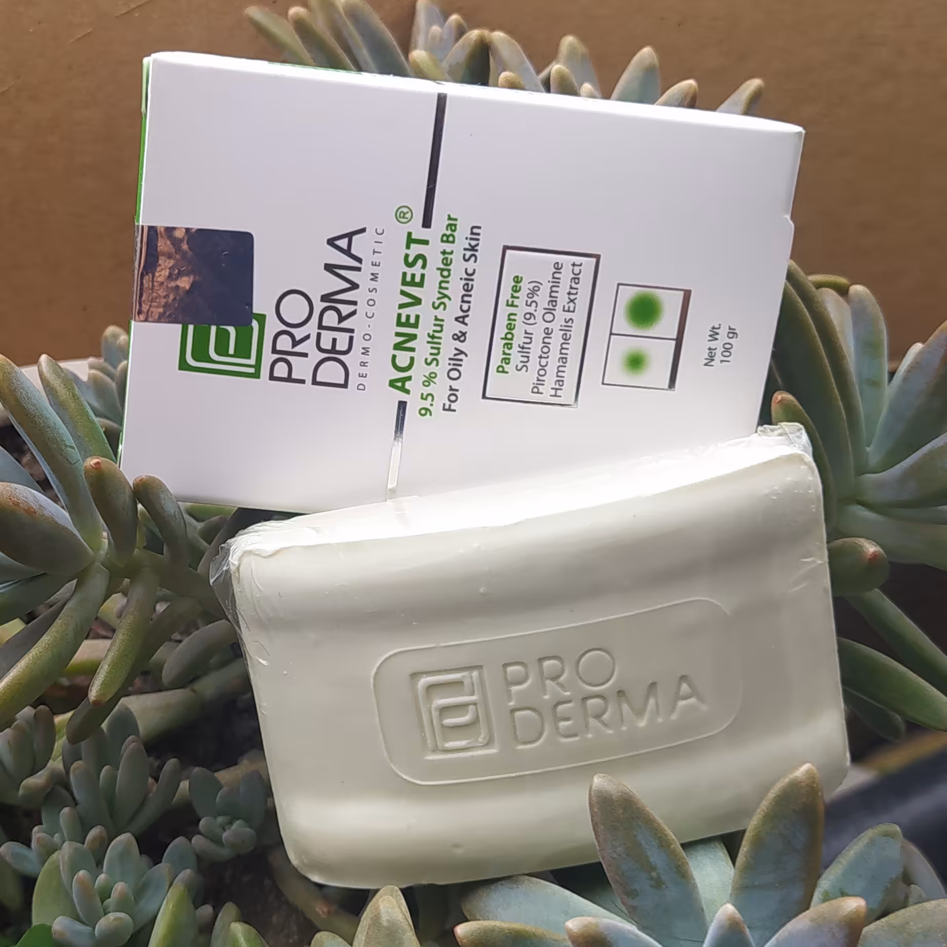 پن پوست چرب و جوش دار پرودرما