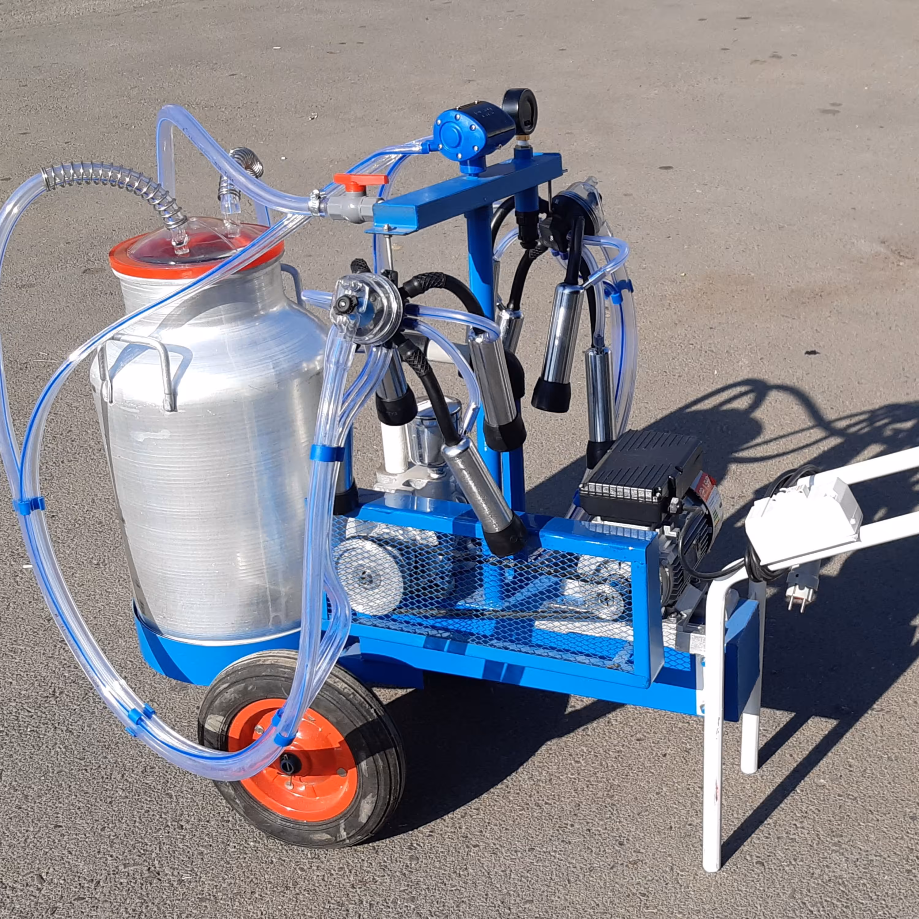 شیردوش گاو تسمه ای