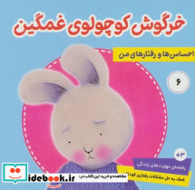 خرید کتاب خرگوش کوچولو 6 خرگوش کوچولوی غمگین فرهنگ و هنر | ایده بوک