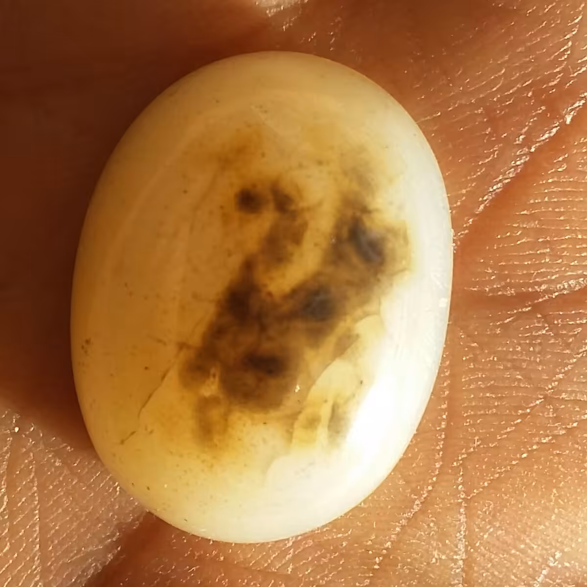 نگین عقیق سلیمانی مصور قو موکول دار قوی محشر دیدنی
100 در 100 طبیعی شاهکار خلقت نمونه ای تکرار نشدنی