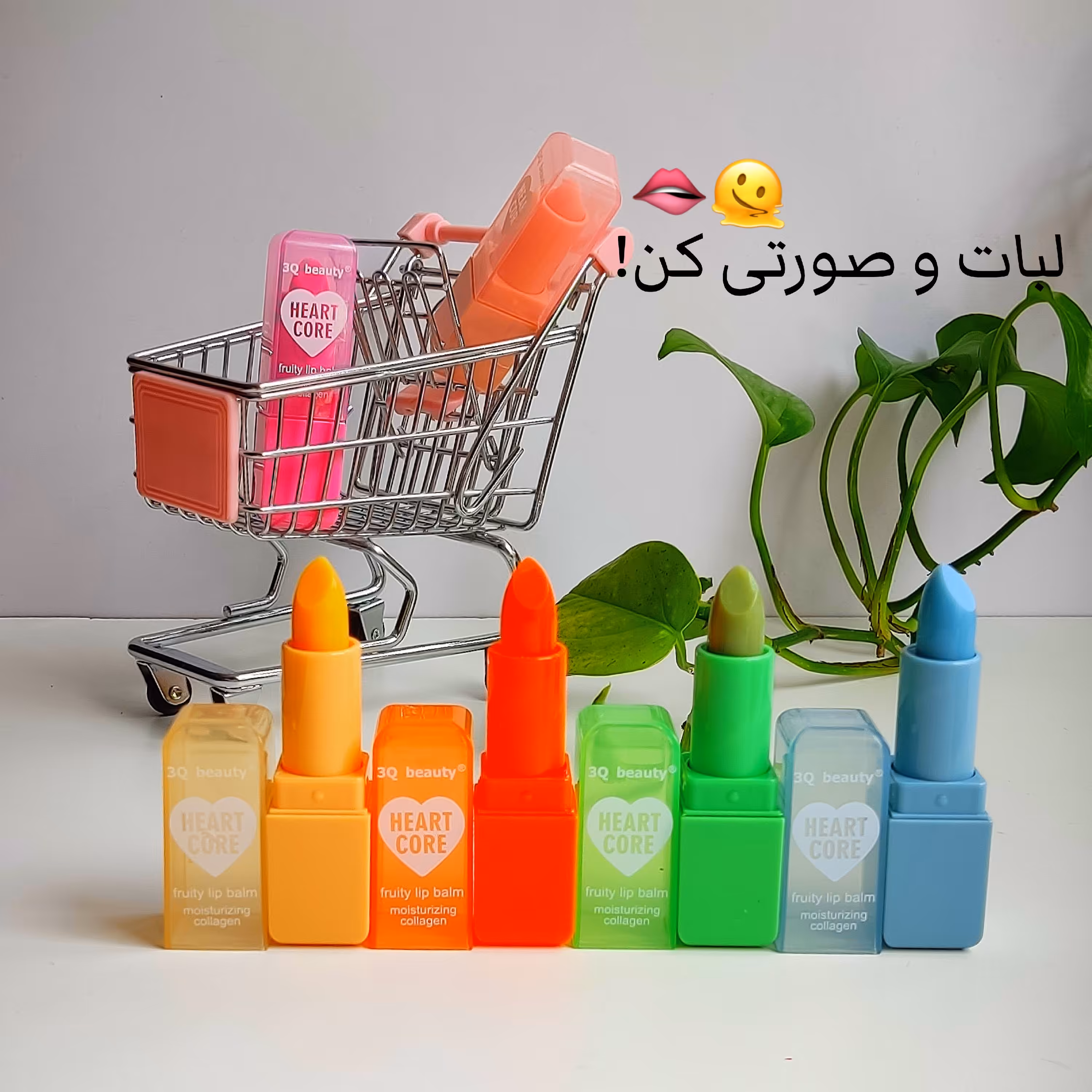 بالم لب