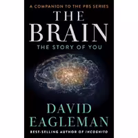 کتاب زبان اصلی The Brain اثر David Eagleman انتشارات Pantheon