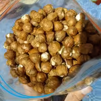 مغز فندق خام ایرانی 250 گرمی ویژه باسلام