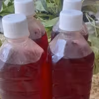 شربت توت فرنگی