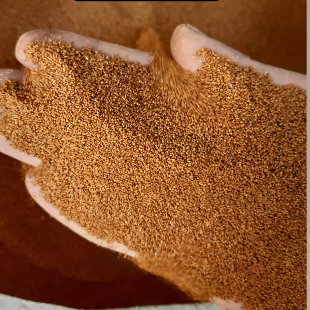 خاکشیر سرت شیرین (50کیلویی)