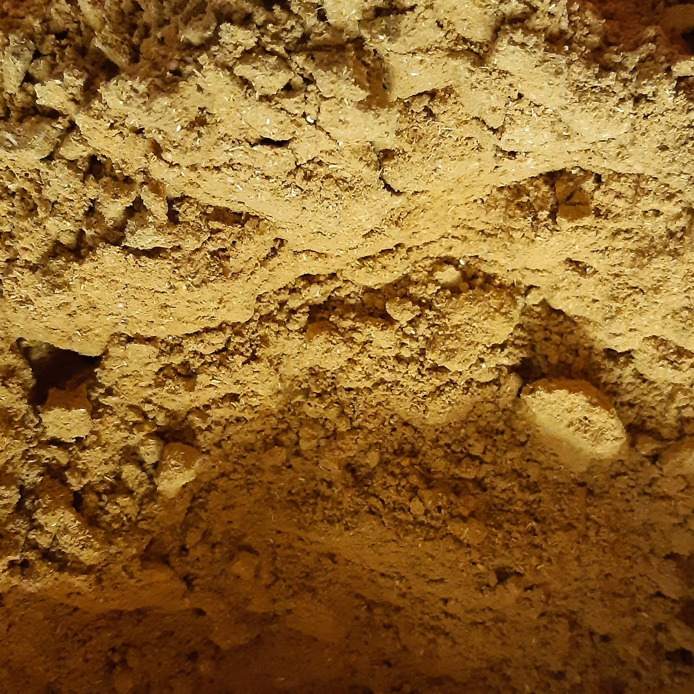 ادویه مرغ ماهی 2 کیلویی 