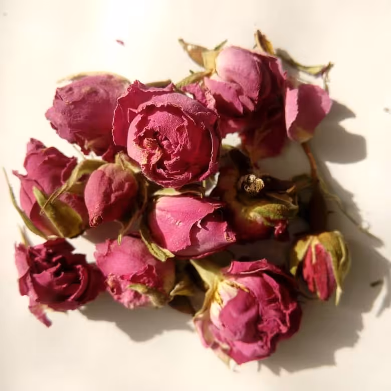 غنچه گل محمدی اعلا  5 مثقال