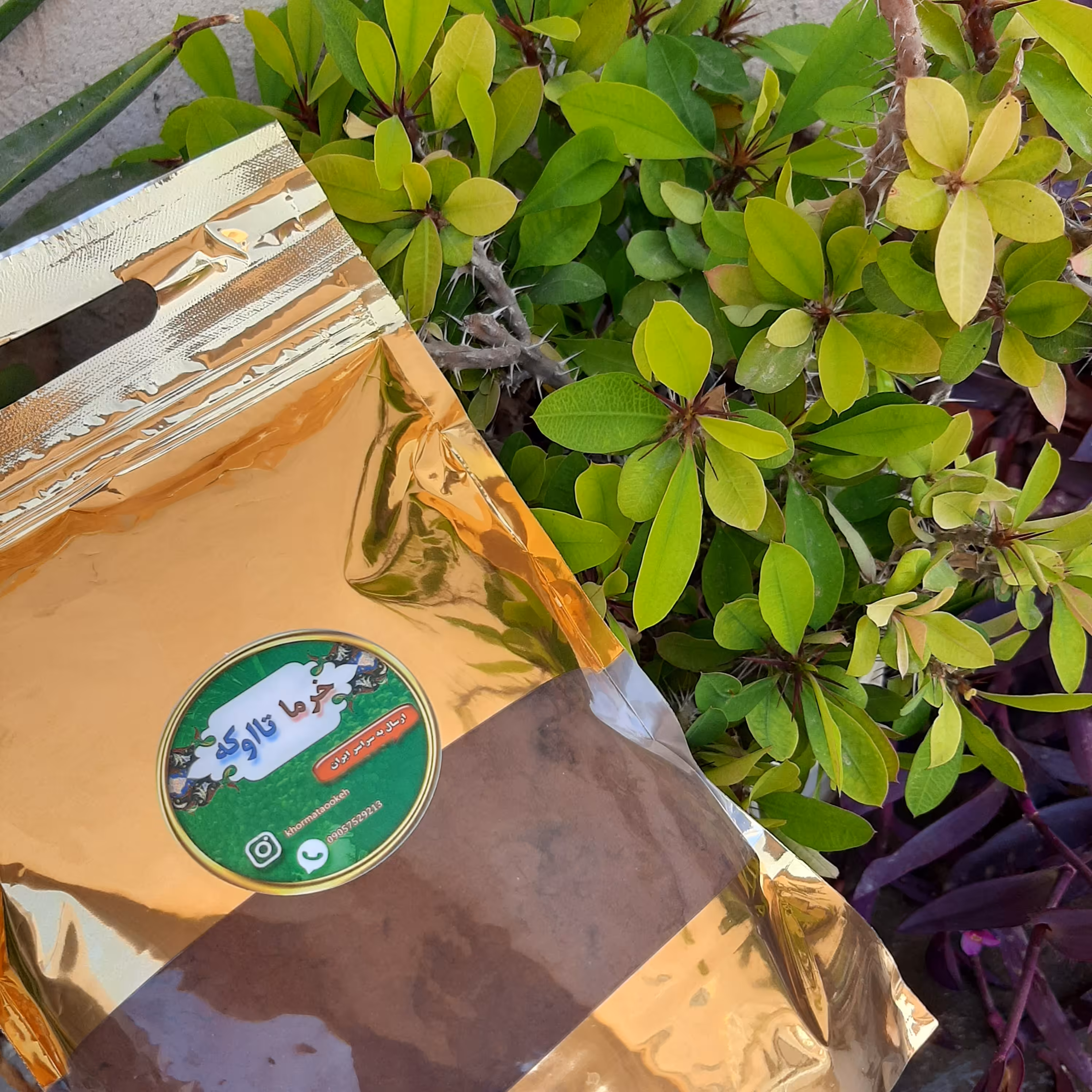 قهوه خرما، بدون کافئین، 500 گرمی، طبیعی